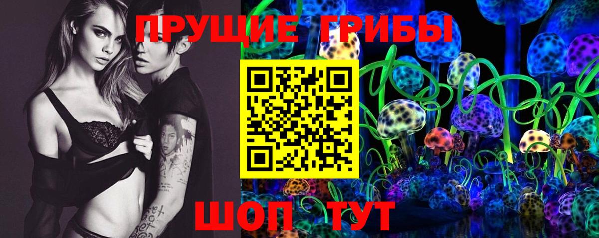 Псилоцибиновые грибы GOLDEN TEACHER Изобильный