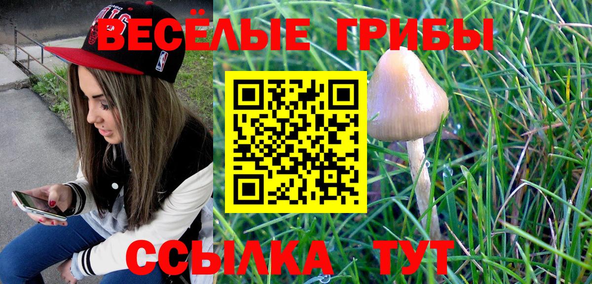 Галлюциногенные грибы ЛСД  Вход с VPN  Псилоцибиновые грибы прущие грибы  Изобильный 